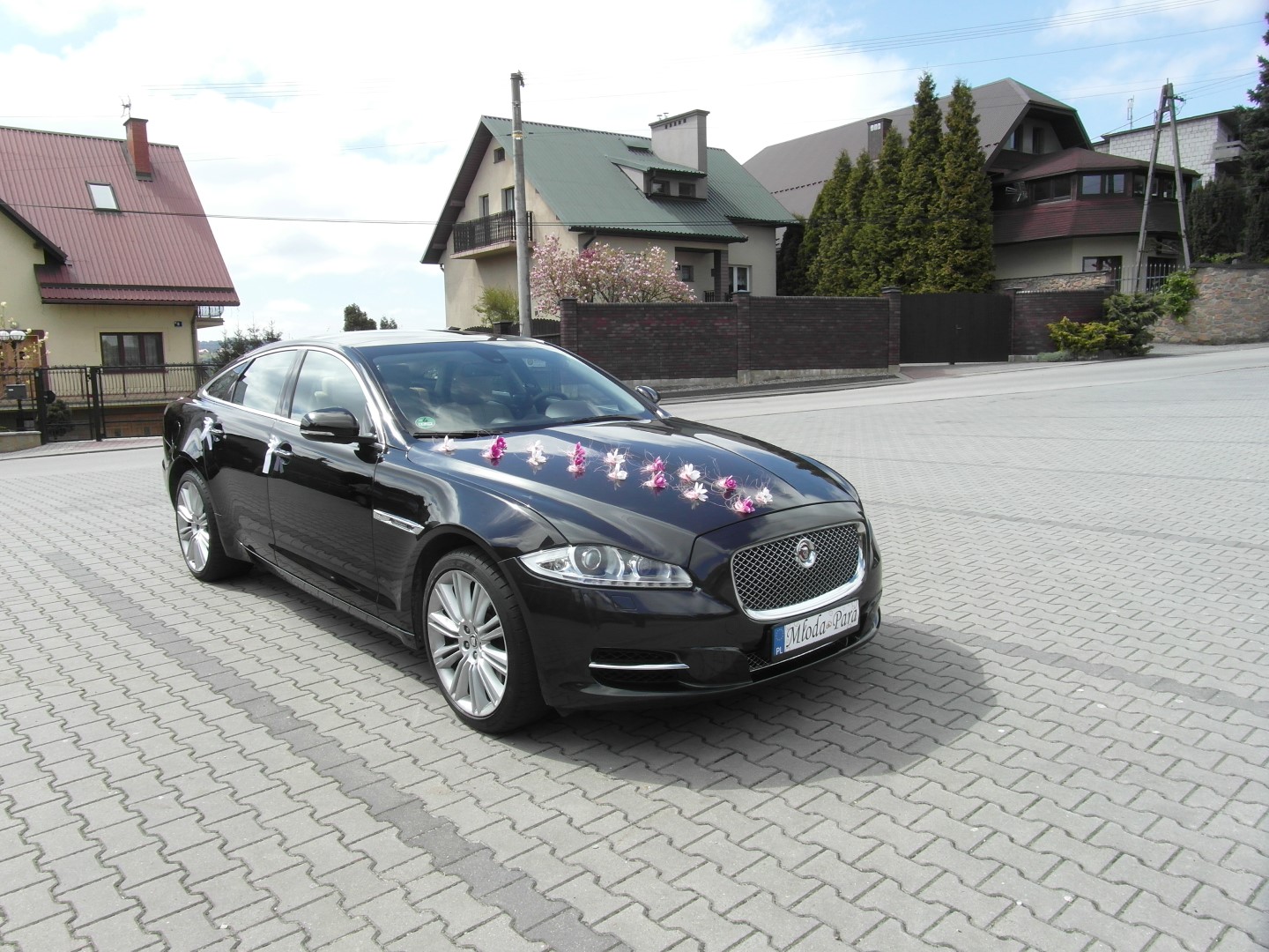 Jaguar XJ na ślub - www.auto-na-slub.pl